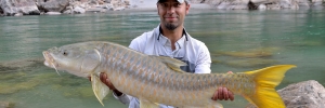 Golden Mahseer Fishing in Nepal